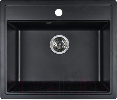 Мойка кухонная Wisent 600-26W (с сифоном GER013)