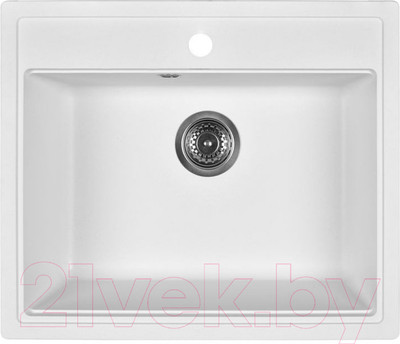Мойка кухонная Wisent 600-28W (с сифоном GER013)
