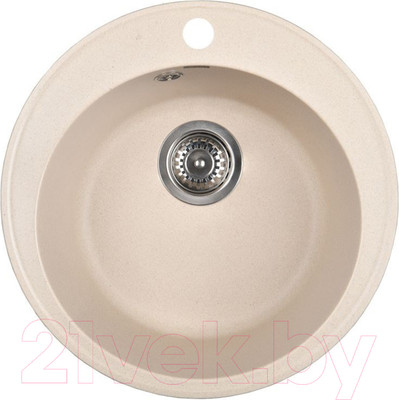 Мойка кухонная Wisent 480-30WR (с сифоном GER013)