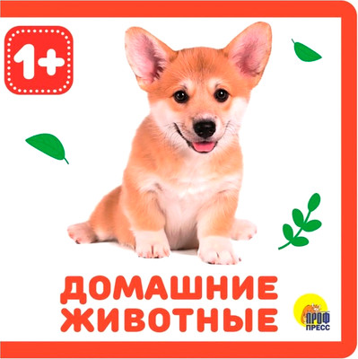 Развивающая книга Проф-Пресс Домашние животные, мягкая обложка (Подорожная Ольга)