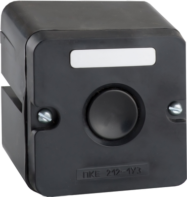 Пульт кнопочный КЭАЗ ПКЕ 222-1-У2-IP54 / 150754