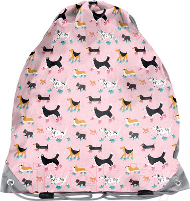 Мешок для обуви Paso PP21DG-712