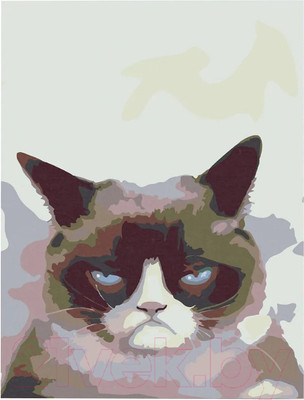 Картина по номерам Red Panda Недовольный Кот p54418