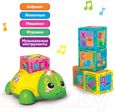 Развивающий игровой набор Азбукварик Азбука с Черепашкой / 2850В (зеленый)