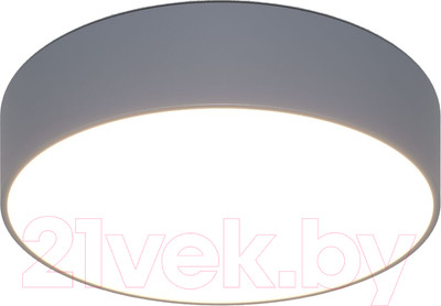 Потолочный светильник Евросвет 90318/1 (серый)