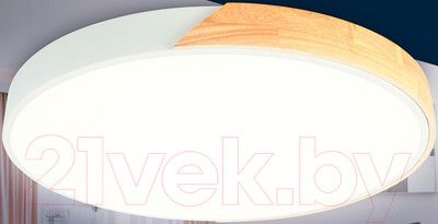 Потолочный светильник Ambrella FZ1301 (белый/светлое дерево)