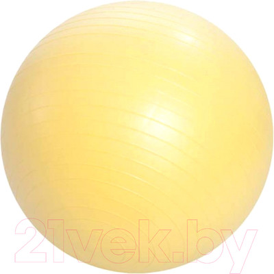 Фитбол гладкий ZEZ Sport FB-55