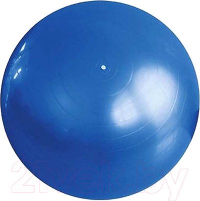 Фитбол гладкий ZEZ Sport FB-75