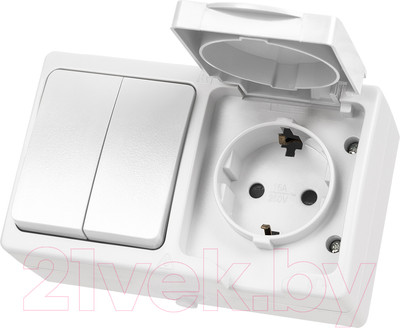 Блок выключатель+розетка TDM Вуокса SQ1803-1012
