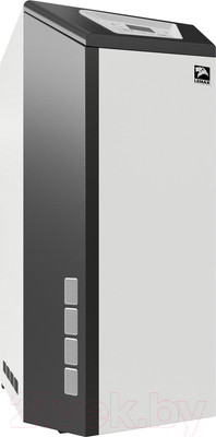 Газовый котел Лемакс Omega Е-40