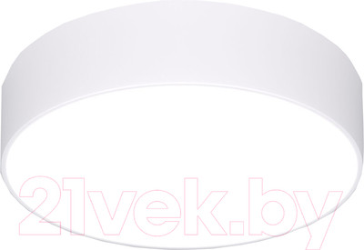 Потолочный светильник Евросвет 90318/1 (белый)