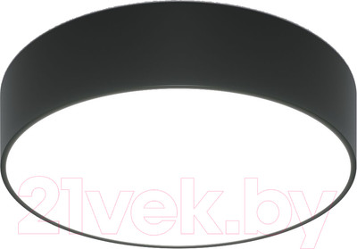 Потолочный светильник Евросвет 90318/1 (черный)