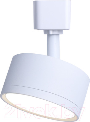 Трековый светильник Truenergy 21118