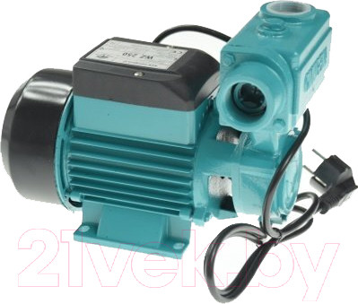 Поверхностный насос GreenPump WZ 250