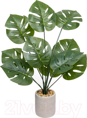 Искусственное растение Вещицы Монстера Mia10