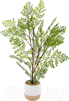 Искусственное растение Вещицы Папоротник курчавый в цементном горшке Mia3