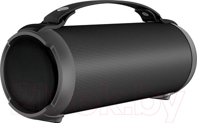 Портативная колонка Digma D-PS1520 (черный)