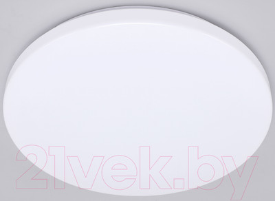 Потолочный светильник Ambrella FZ1010 (белый)