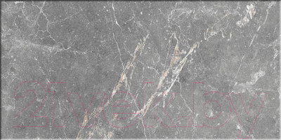 Плитка Beryoza Ceramica Capella серый (500x250)