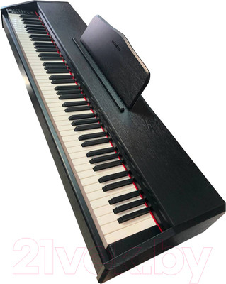 Цифровое фортепиано Aramius API-120 MBK