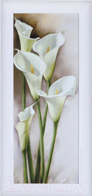 Картина Декарт Каллы 8Л0981 (в раме)