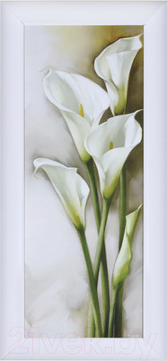 Картина Декарт Каллы-2 8Л0982 (в раме)