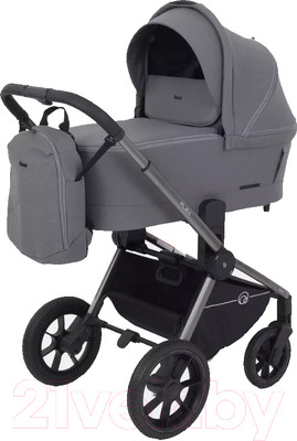 Детская универсальная коляска Rant Flex Pro 2 в 1 2023 / RA074 (серый)