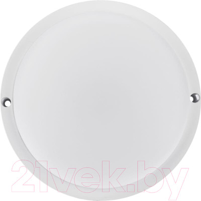 Светильник ЖКХ Rexant 607-274