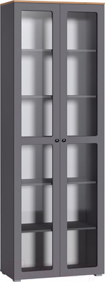 Шкаф с витриной Mobi Остин 16.394.02 (серый графит 0162 РЕ/дуб золотой craft/графит ZB 856-2 ПВХ)