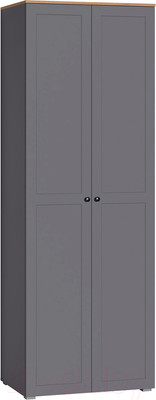 Шкаф Mobi Остин 13.336.02 (серый графит 0162 РЕ/дуб золотой craft/графит ZB 856-2 ПВХ)