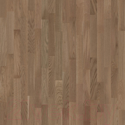 Паркетная доска Tarkett Salsa Oak Copper Elegant Br Pl DG FL (2283x194)