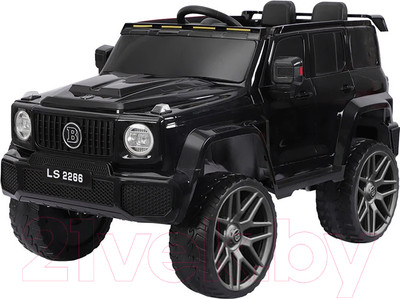 Детский автомобиль Sundays LS2266 (черный)