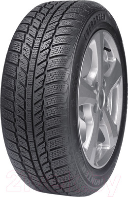Зимняя шина Evergreen EW62 175/65R15 84H