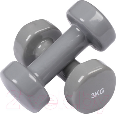 Набор гантелей Indigo Sport 92005 IR (2x3кг, серый)