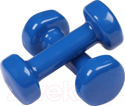 Набор гантелей Indigo Sport 92005 IR (2x2кг, синий)