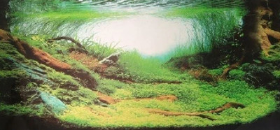 Декорация для аквариума Homefish Амазония 80686