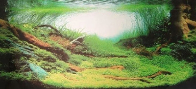 Декорация для аквариума Homefish Амазония 80687