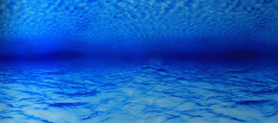 Декорация для аквариума Homefish Морской вид 80690