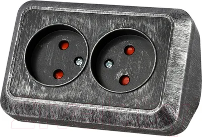 Розетка TDM Ладога SQ1801-0389 (серебристый)