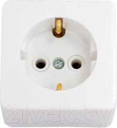 Розетка Bylectrica РА16-209 (белый)
