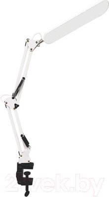 Настольная лампа INhome Plus ССC-05Б / 4690612045337