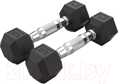 Гантель VictoryFit VF-H020 (2кг)