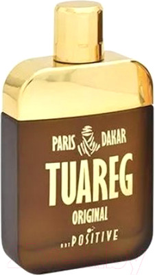Туалетная вода Positive Parfum Tuareg Original (100мл)