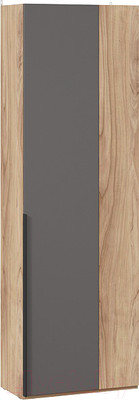 Шкаф ТриЯ Порто СМ-393.07.231 с 1 глухой дверью (яблоня беллуно/графит софт)