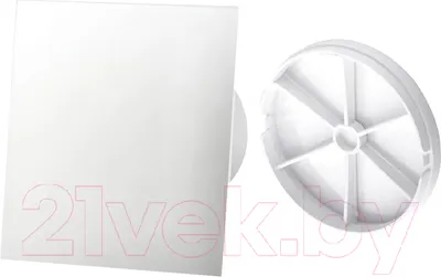 Вентилятор накладной AirRoxy dRim 100RMS-C177 (с обратным клапаном d-100)
