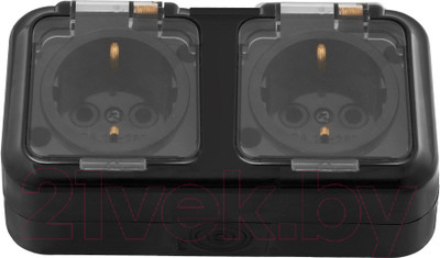 Розетка Bylectrica Пралеска аква РА16-303 (черный)