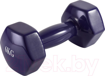 Гантель VictoryFit VF-DV060 (6кг)