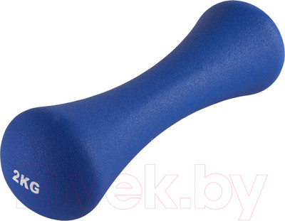 Гантель VictoryFit VF-DN020 (2кг)