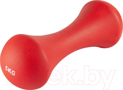 Гантель VictoryFit VF-DN050 (5кг)