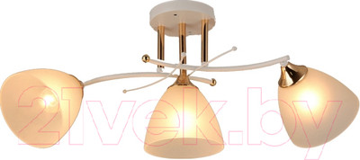 Потолочный светильник Mirastyle SX-N-0413/3